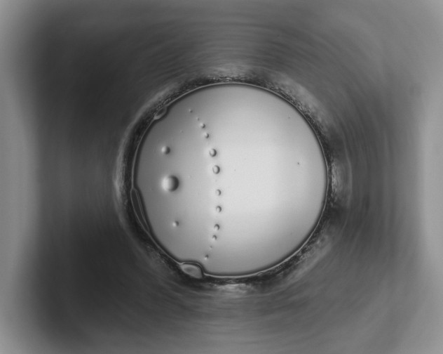 X0000102290396200808081527