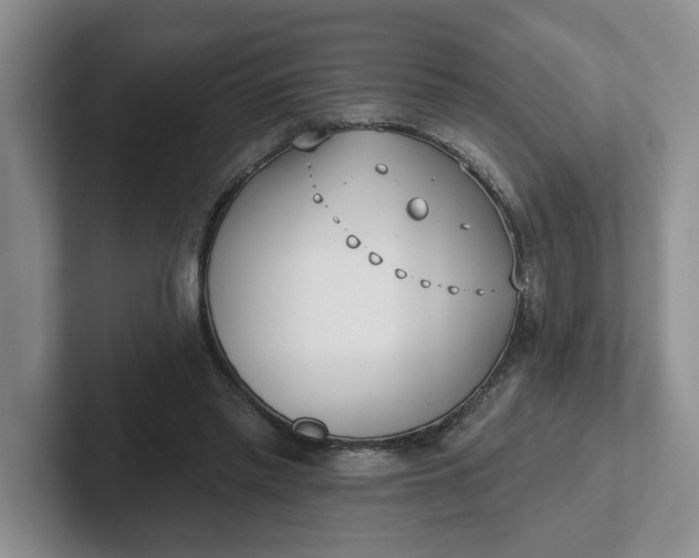 X0000102290397200808081527