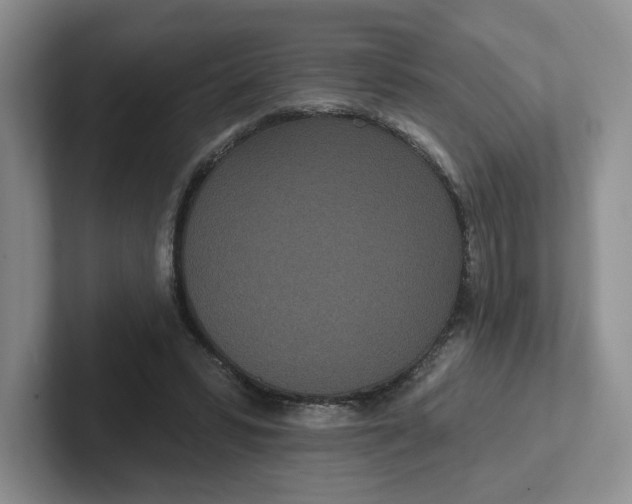 X0000102290399200808081527