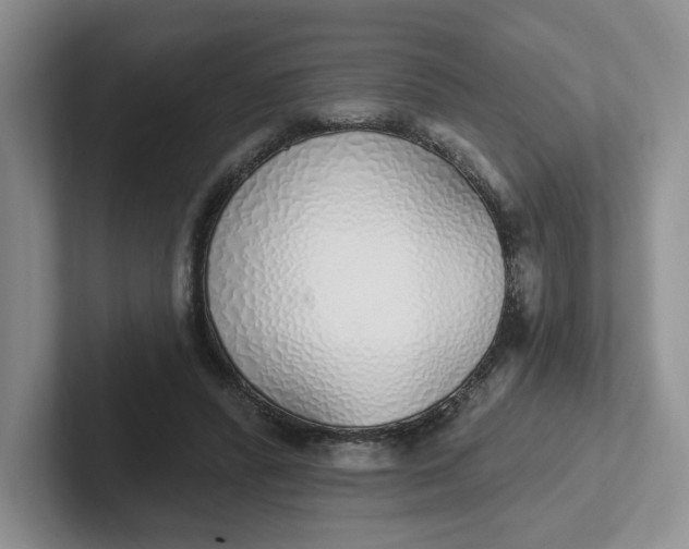 X0000102290400200808081527