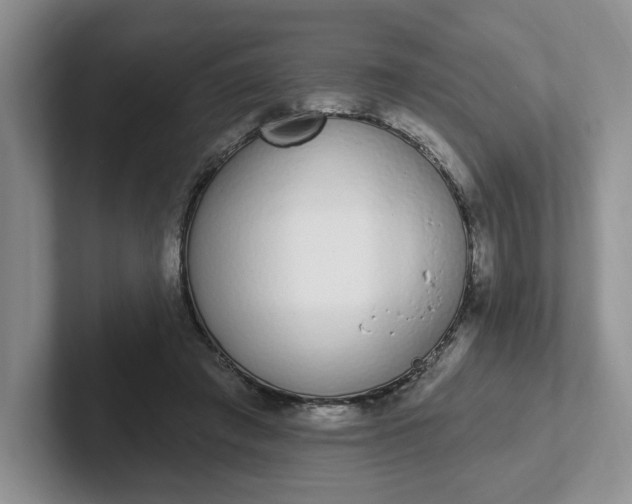 X0000102290401200808081527