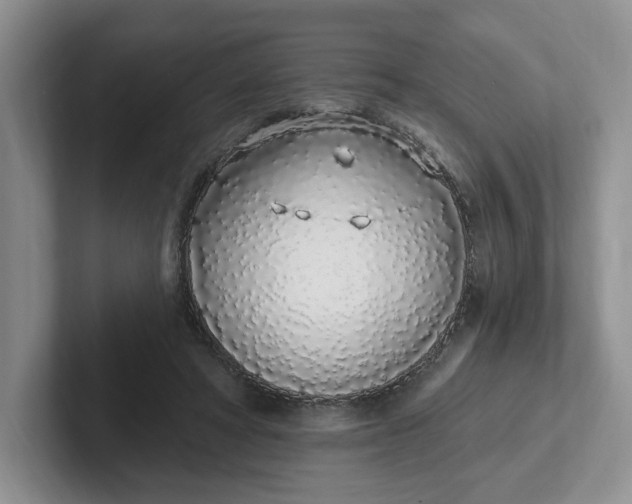 X0000102290402200808081527