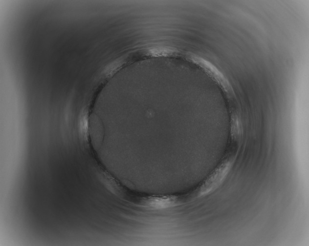 X0000102290405200808081527