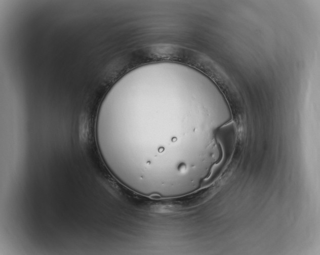 X0000102290408200808081527