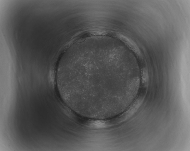 X0000102290409200808081527