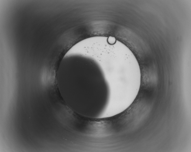 X0000102290411200808081527