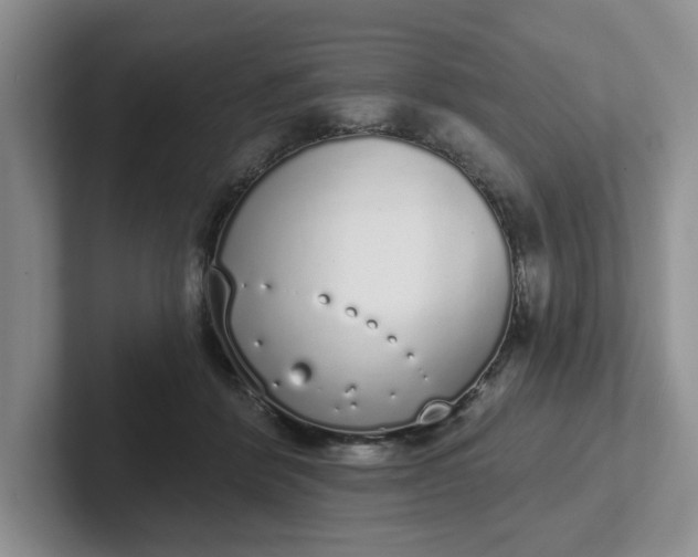 X0000102290412200808081527