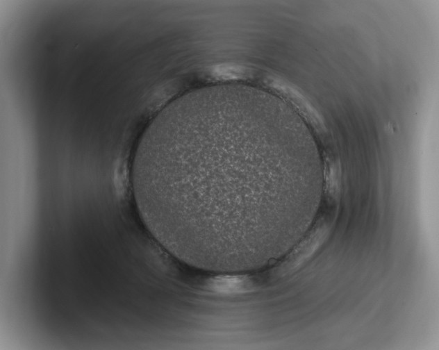 X0000102290418200808081527