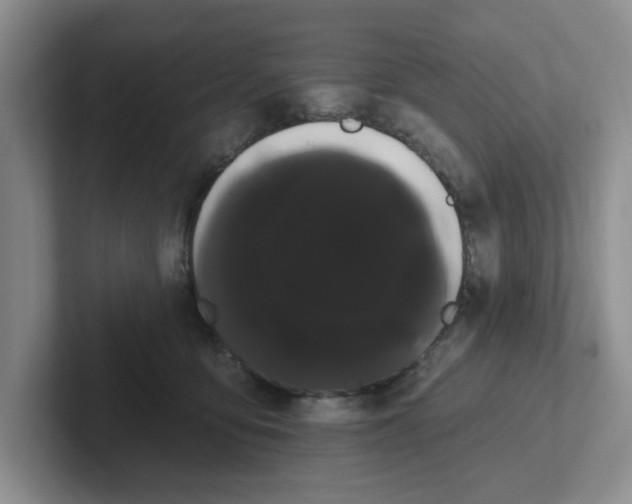 X0000102290419200808081527