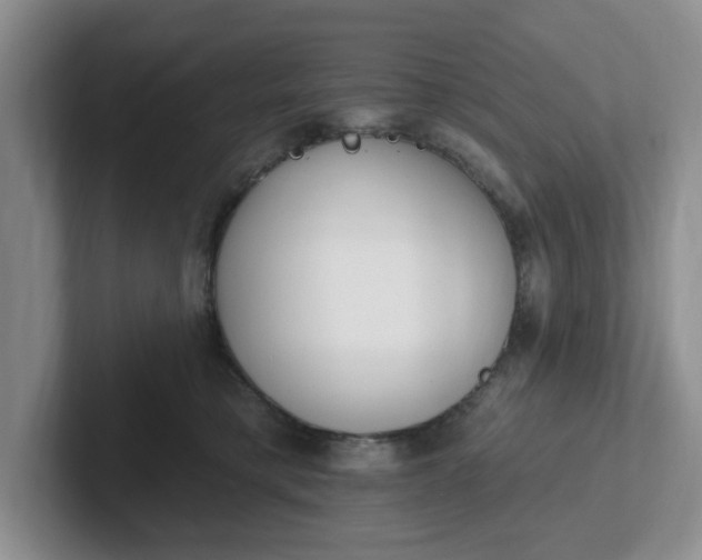 X0000102290421200808081527