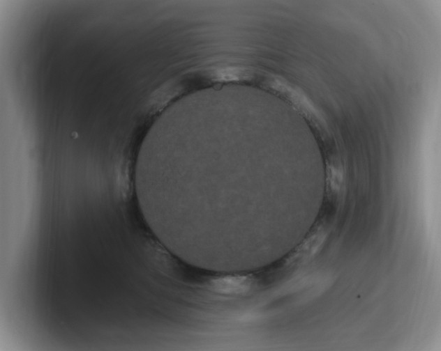 X0000102290422200808081527