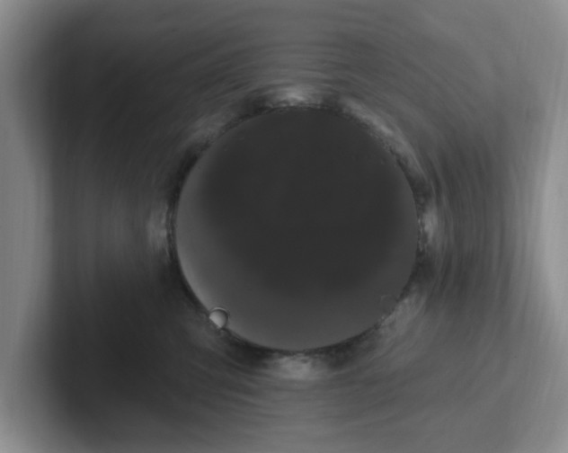 X0000102290423200808081527