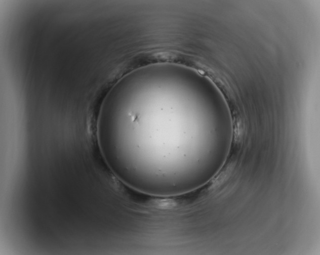 X0000102290424200808081527