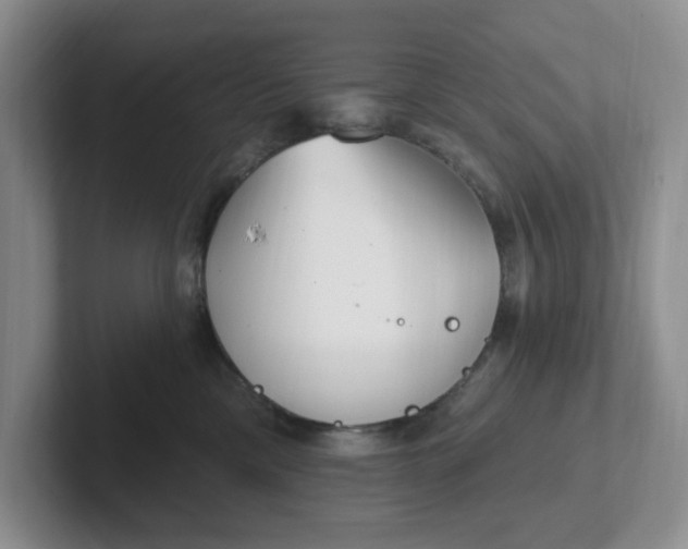 X0000102290425200808081527