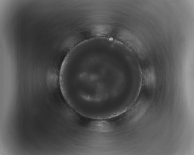 X0000102290427200808081527