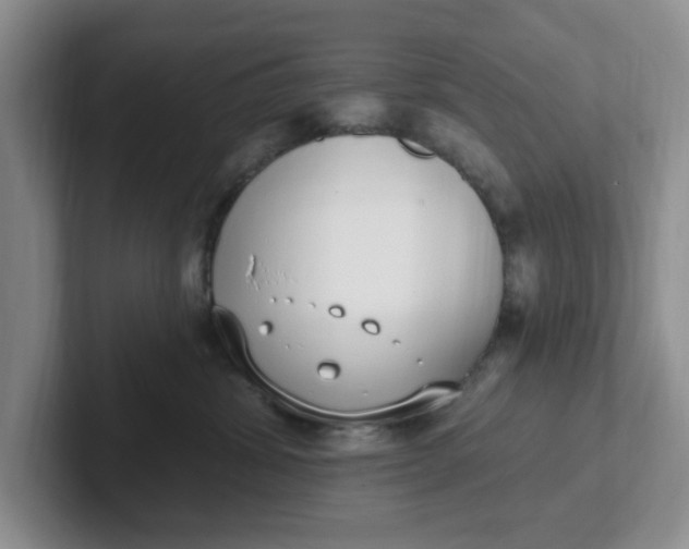 X0000102290428200808081527