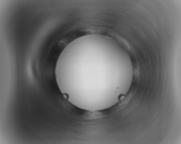 X0000102290429200808081527