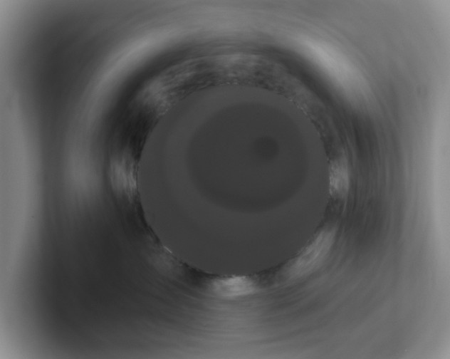 X0000102290431200808081527