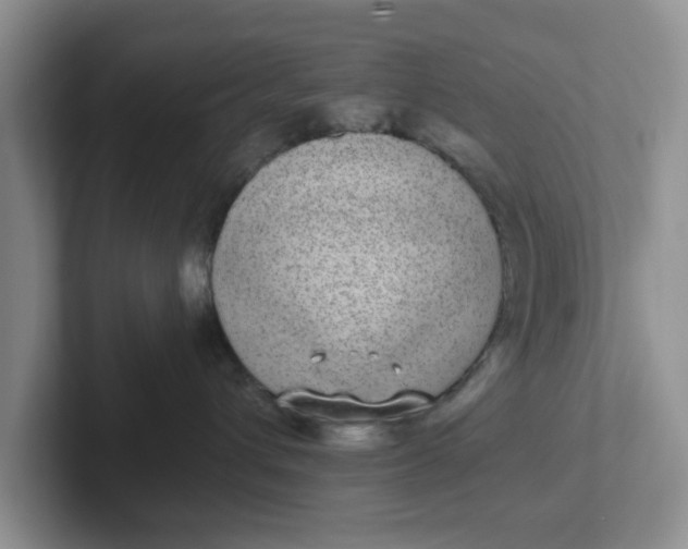 X0000102290432200808081527