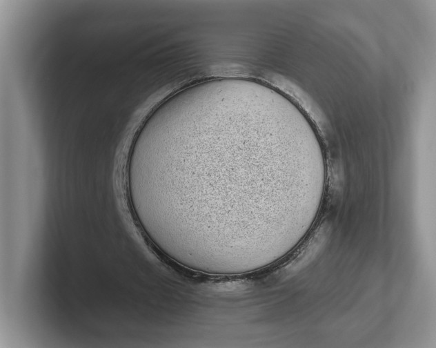 X0000102290433200808081526