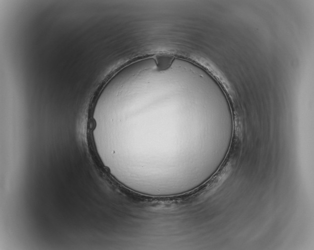 X0000102290434200808081526