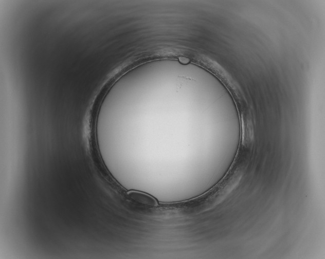 X0000102290435200808081526