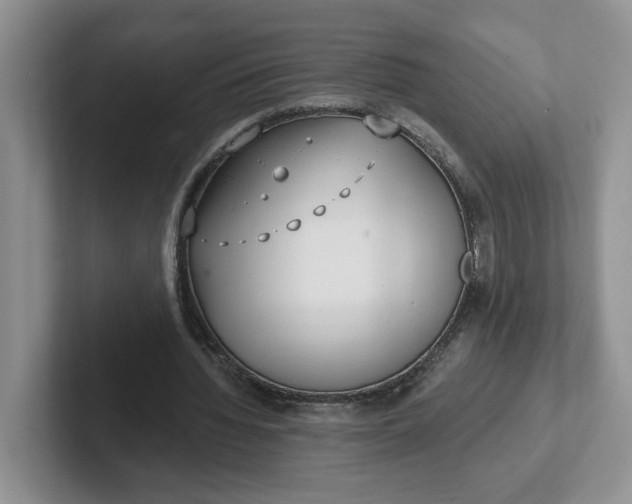 X0000102290436200808081526