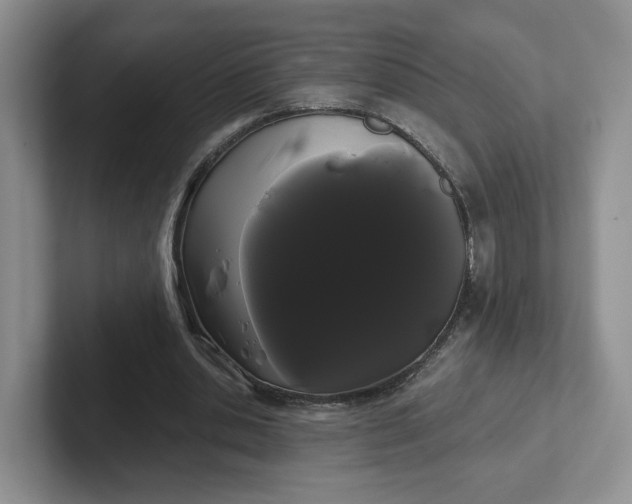 X0000102290438200808081526