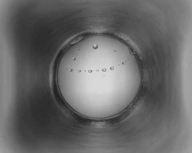 X0000102290440200808081526