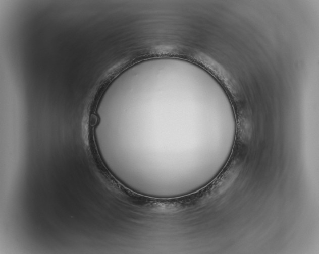 X0000102290442200808081526