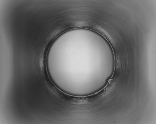 X0000102290443200808081526