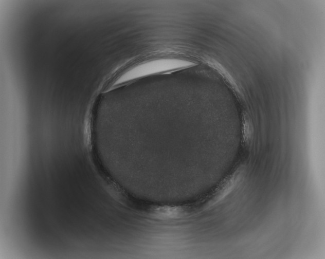 X0000102290444200808081526