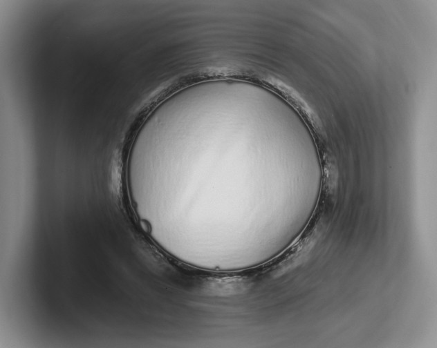 X0000102290446200808081526