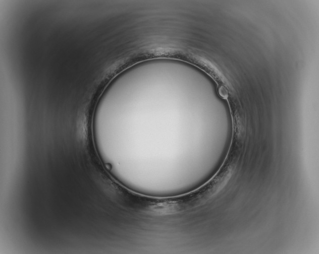 X0000102290447200808081526