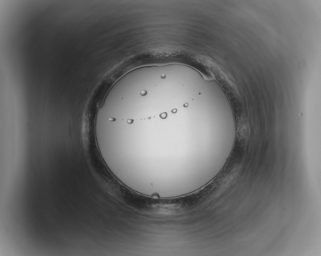 X0000102290448200808081526