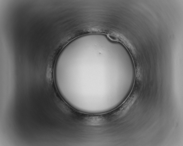 X0000102290449200808081526