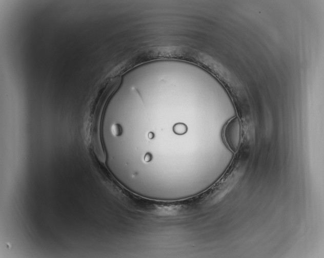 X0000102290450200808081526