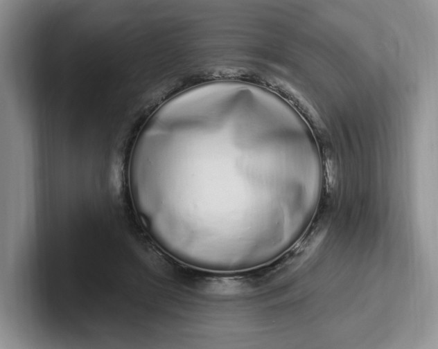 X0000102290451200808081526