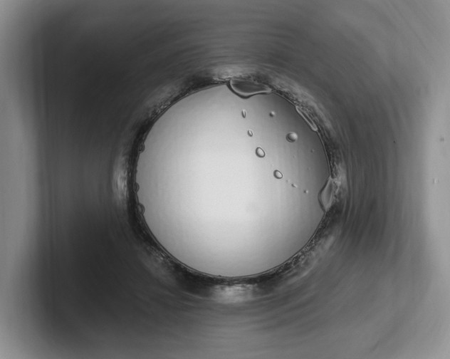 X0000102290452200808081526