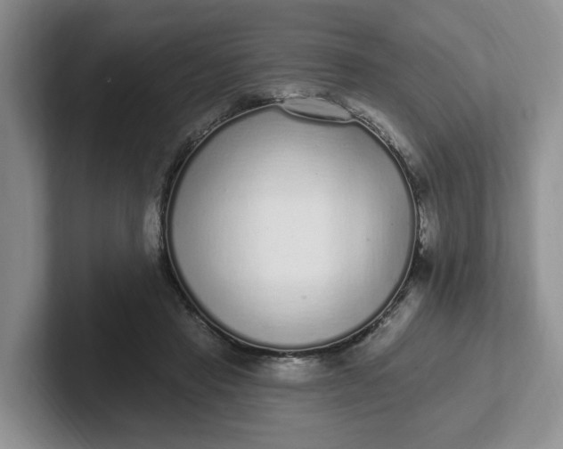 X0000102290453200808081526