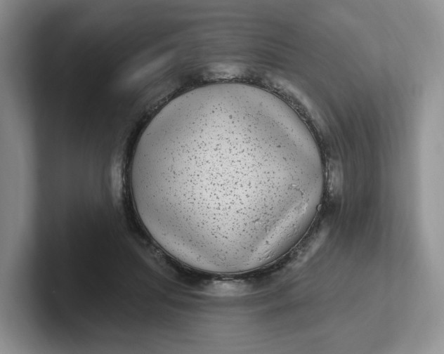 X0000102290455200808081526