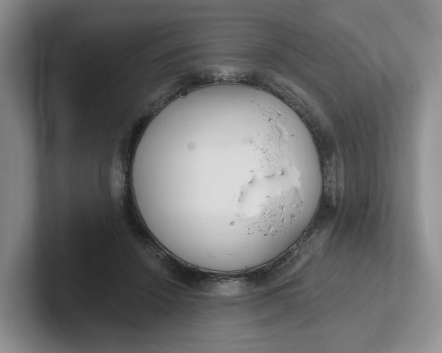 X0000102290456200808081526