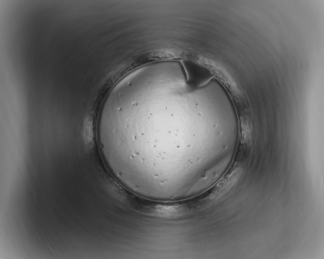 X0000102290457200808081526