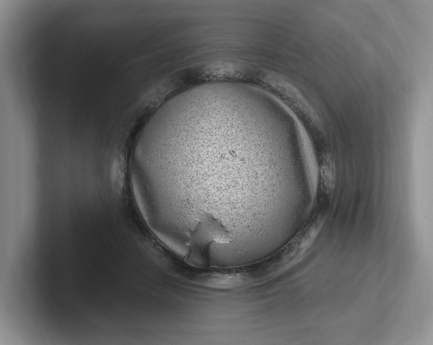 X0000102290458200808081526