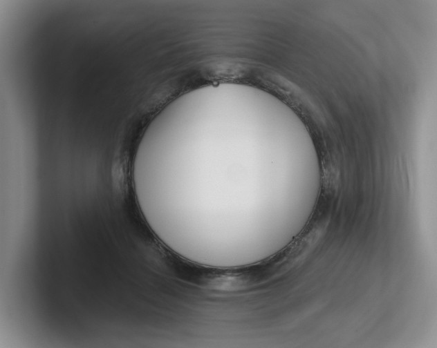 X0000102290460200808081526