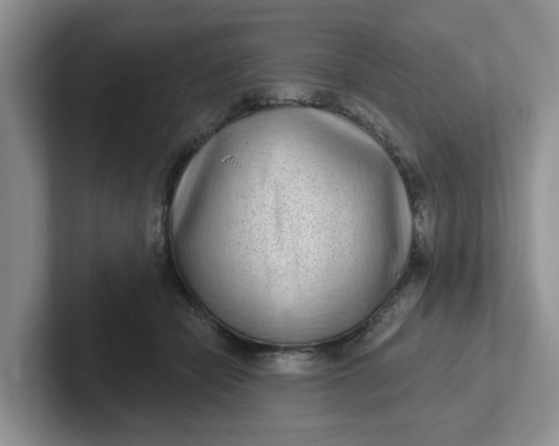 X0000102290462200808081526