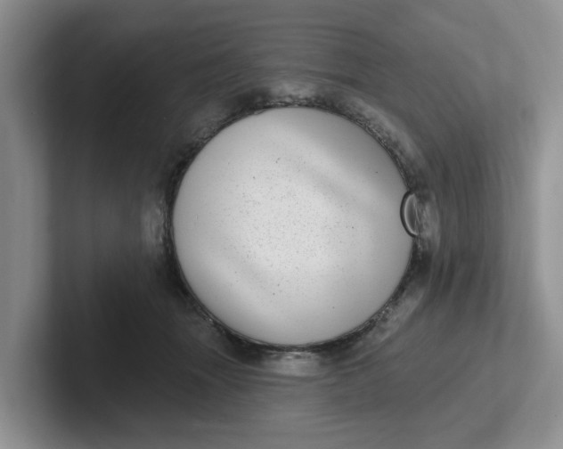 X0000102290463200808081526