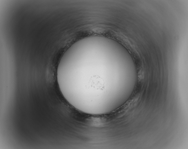 X0000102290464200808081526