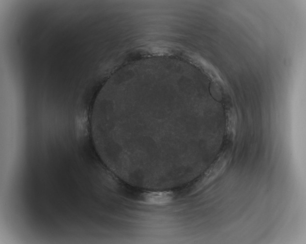 X0000102290465200808081526