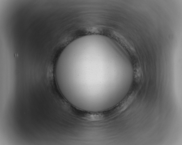 X0000102290466200808081526